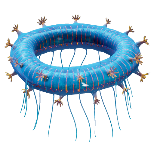 Jellyring