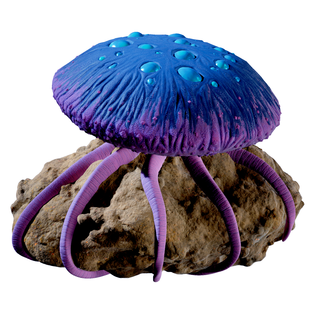 Mega Jelly