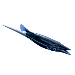 Spiney Tail Variant