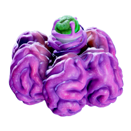acidanemone01a