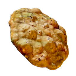 Coral Cookie