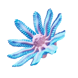 Stilt Orb Flower