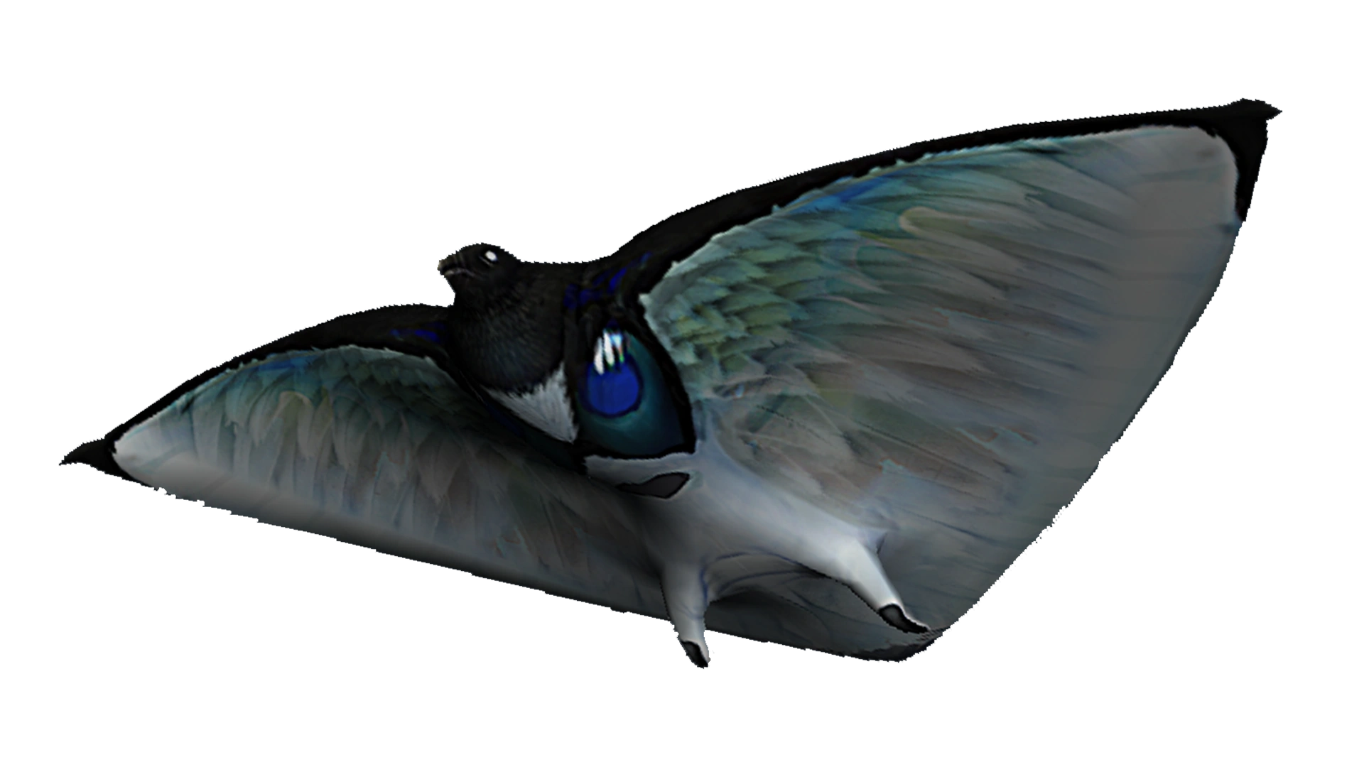 Skyray