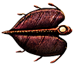 Cooked bladderfish