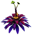 Antennae Plant