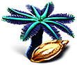 [MISSING: bluepalmseed]