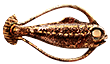 Cooked hoopfish
