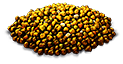 [MISSING: crashpowder]