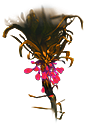 Creepvine