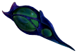 Cryptosuchus egg