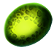[MISSING: enzymecureball]
