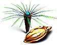 [MISSING: fernpalmseed]
