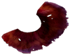 Spiral Plant Clipping