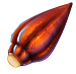 Lantern fruit