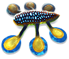 [MISSING: hoverfish]