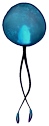 Jellyfish egg