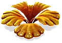 [MISSING: orangepetalsplant]