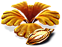 [MISSING: orangepetalsplantseed]