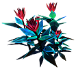[MISSING: pinkflower]