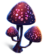 [MISSING: pinkmushroom]