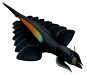 Pinnacarid