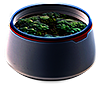 Chic plant pot
