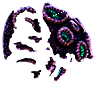 [MISSING: purplebraincoralpiece]