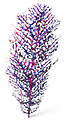 [MISSING: purplebranches]