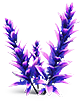 [MISSING: purplestalk]