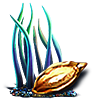 [MISSING: purpletentacleseed]