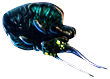 [MISSING: reefback]