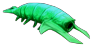 Rockgrub
