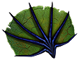 [MISSING: smallfan]