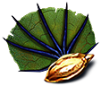 [MISSING: smallfanseed]
