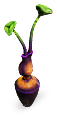 Antennae Fruit