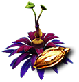 Antennae Seed