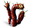 [MISSING: spikeplant]