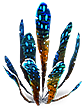 Spotted dockleaf