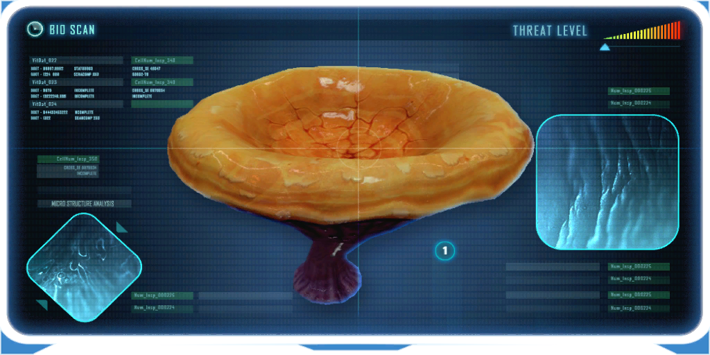 Orange Mushroom