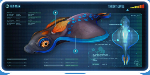 Rabbit Ray